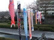 CIMG0322