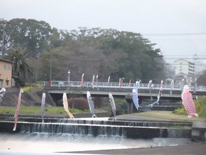 CIMG0334