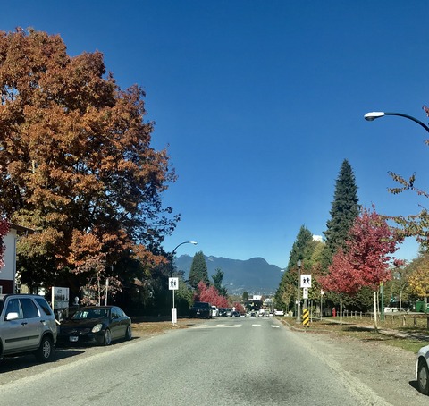 バンクーバー紅葉