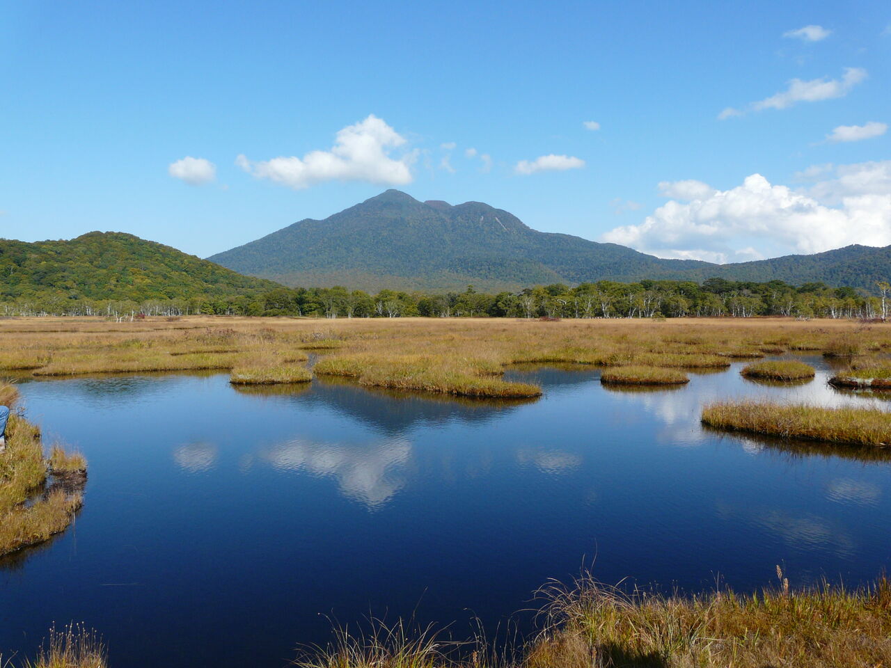 尾瀬ヶ原の草紅葉 きれいな景色を求めて 尾瀬ヶ原の草紅葉 きれいな景色を求めて