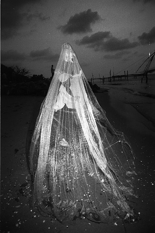 暑い国 寒い国 獣医学生あらため獣医師放浪写真と戯れ言