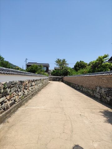 1629938426211