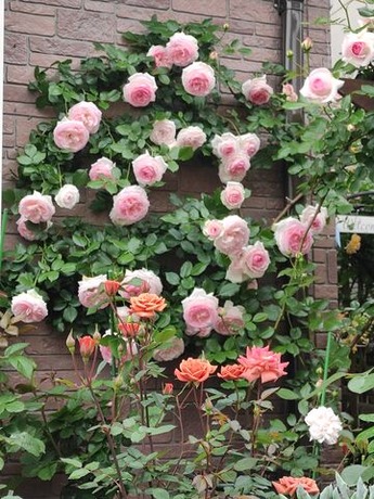 IMG_20220509_092841