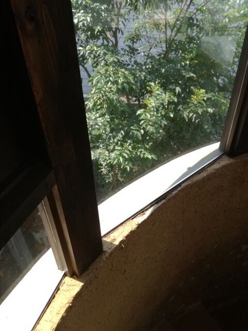 IMG_20200804_104051