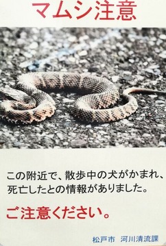 IMG_20200712_141222