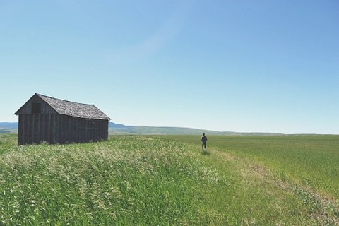 field-839827__340