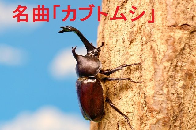 ぜいたく Aiko カブトムシ 歌詞 ガサタメガ ぜいたく Aiko カブトムシ 歌詞 ガサタメガ