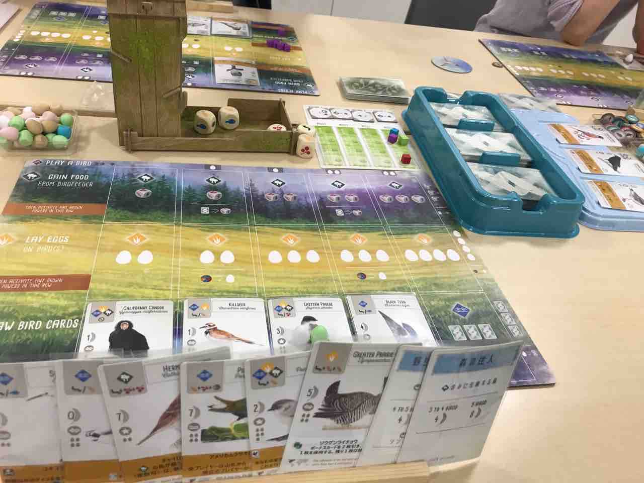 ウイングスパン Wingspan Treeボードゲーム日記 ウイングスパン Wingspan Treeボードゲーム日記