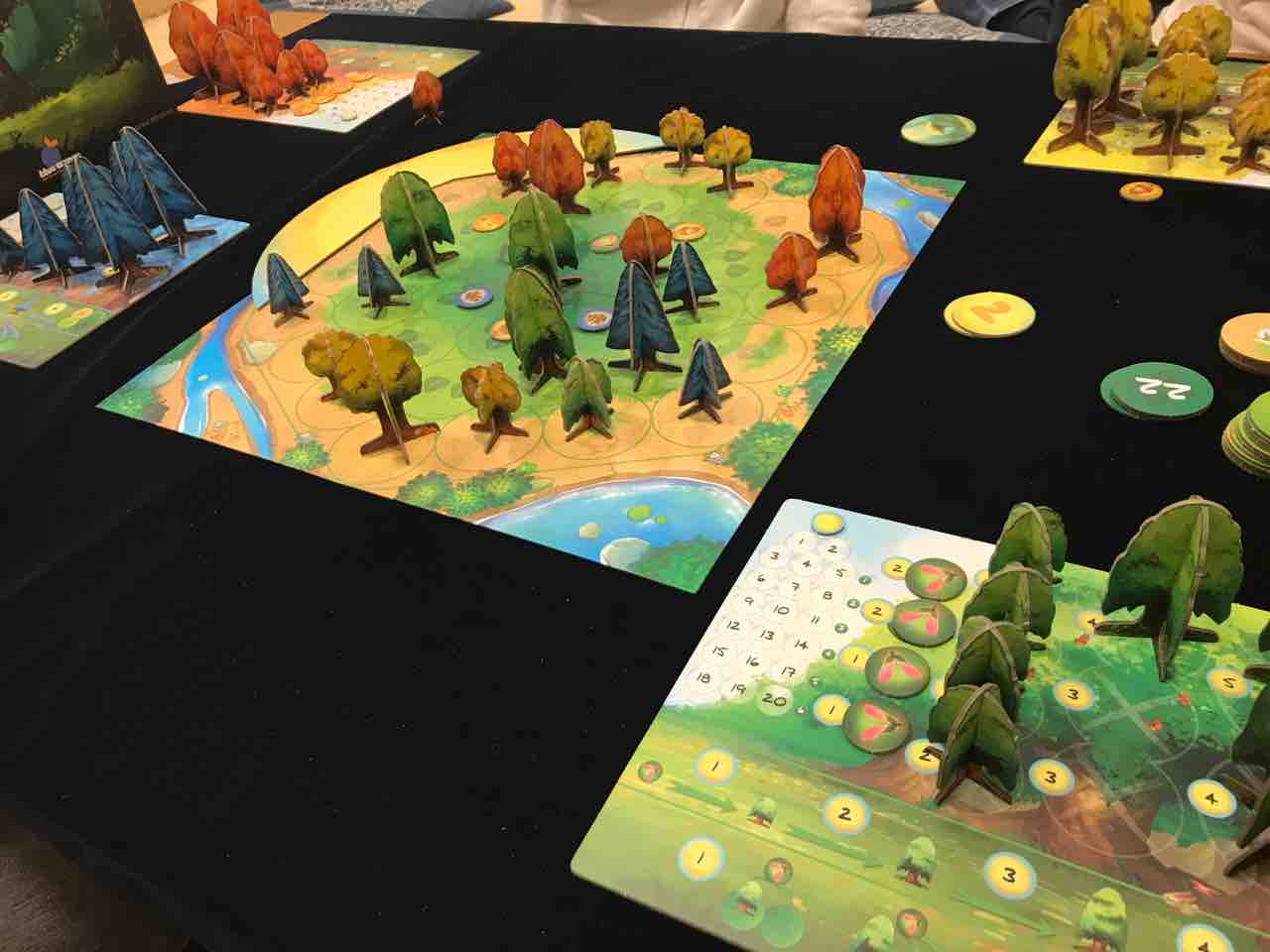 光合成(Photosynthesis) 和訳あり 陣取り系ボードゲーム Blue Orange ブルーオレンジ ゲーム紹介]光合成 | JELLY JELLY CAFE ボードゲームカフェ