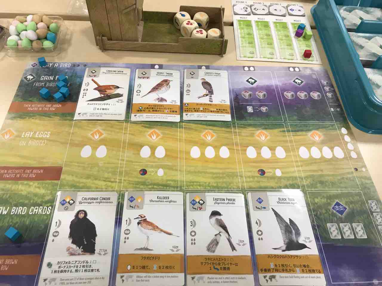 ウイングスパン Wingspan Treeボードゲーム日記 ウイングスパン Wingspan Treeボードゲーム日記