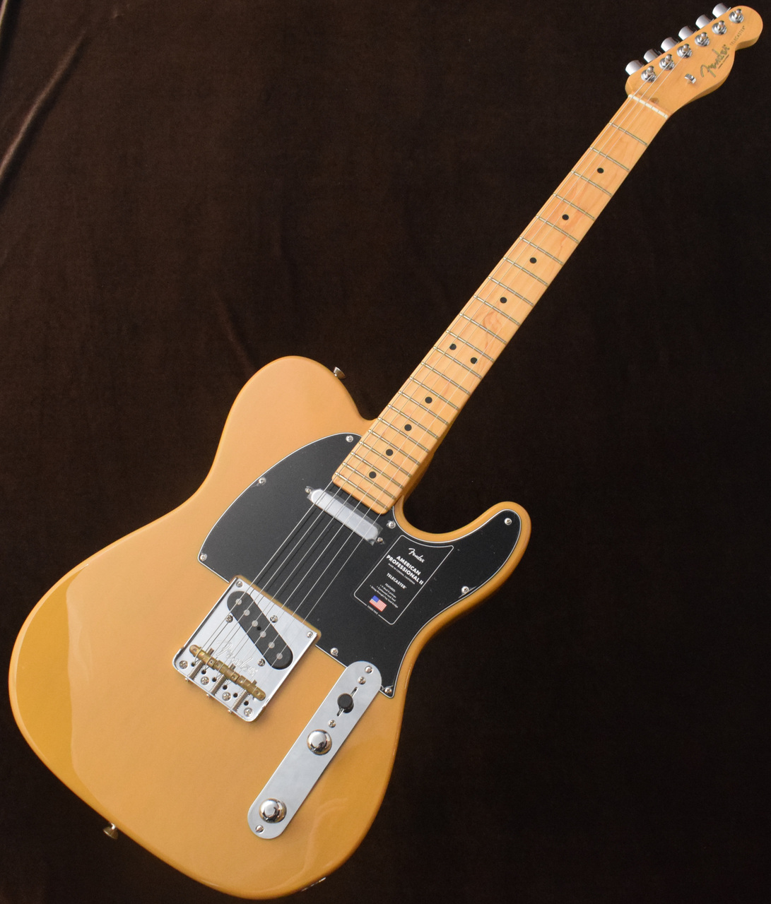 Fender American Professional II Telecaster【試奏レビュー】 : 木の 