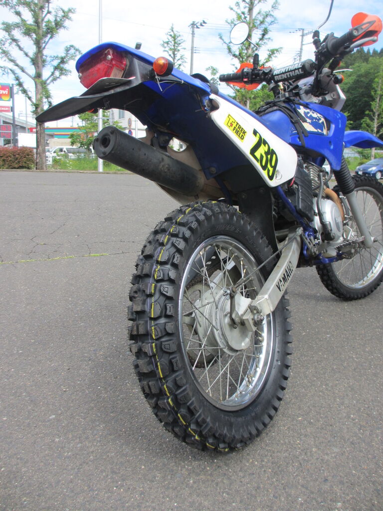 TTR125にFATトレールタイヤ（人柱） : トレックフィールドの「ぎょうれん」