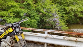 s-DSC_0372