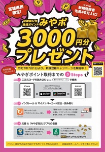 s-miyapotirasi_page-0001