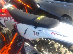 s-DSC_1414 (2025-11-04T10_54_19.799)