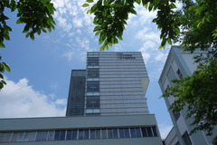 DSC09719