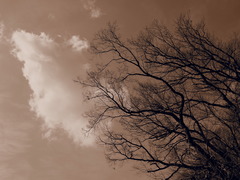 P1180041