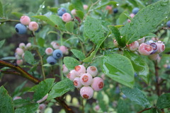 DSC01011