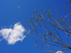 P3080037