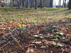 P3290027