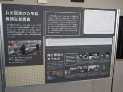 P1270019