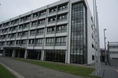 DSC05192 (2)