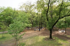 DSC09276 (2)