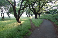 DSC09647