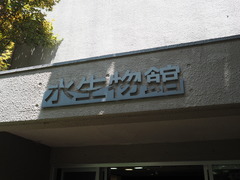 P5210025