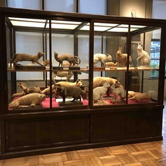 7FB94817-7D38-4B3E-9350-0F86C86C0871