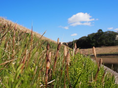 P3080033