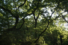 DSC09479