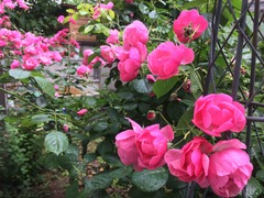 EDEA7BCC-8298-43AE-81F5-28AD2E19AF4B