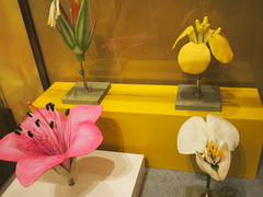 P3190011
