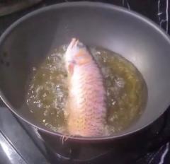 夫のペットの魚を油で揚げちゃったよ Tiktokで400万回再生 速報トレンドカフェ