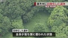 “トトロの森”に白骨化した遺体 埼玉