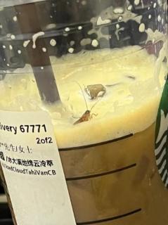 スターバックスの飲料から生きたゴキブリ、「あり得ない」の声も―中国