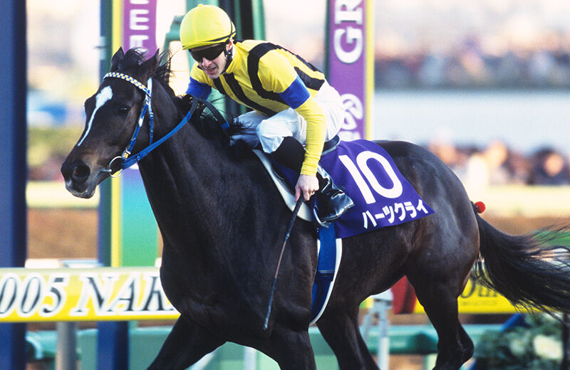 『ハーツクライ』日本競馬に大きな足跡を残した名馬の最期