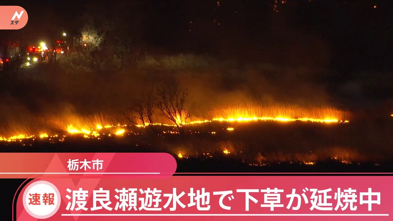 『渡良瀬遊水地』30日の火事発生から9時間余り31日未明にやっと鎮火