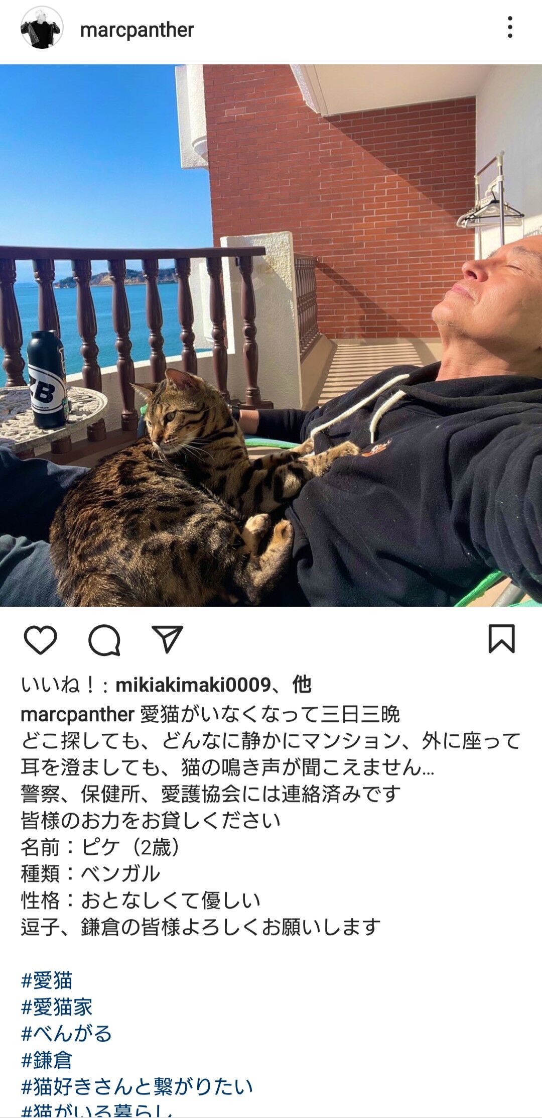 『マーク・パンサー』愛猫失踪の苦悩「あんなに可愛がってたのに…」