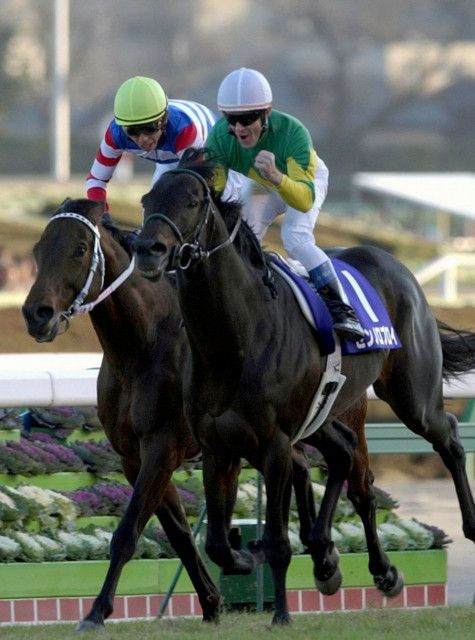 『ゼンノロブロイ』2004年度代表馬死す「たくさんの夢と幸せを与えてくれた馬」