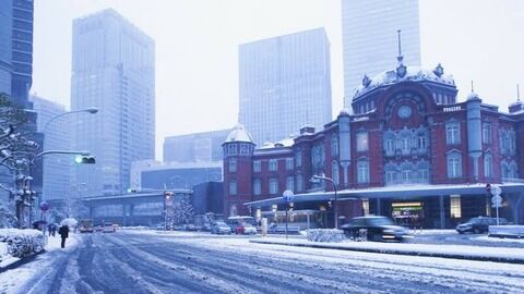 東京雪