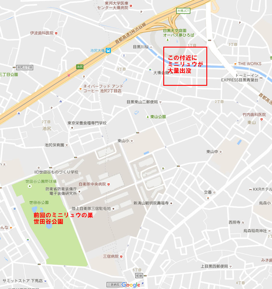 ポケモンgo のミニリュウの巣がまたも見つかる 消える前に行け ポケモンgoおたく ポケモンgo のミニリュウの巣がまたも見つかる 消える前に行け ポケモンgoおたく