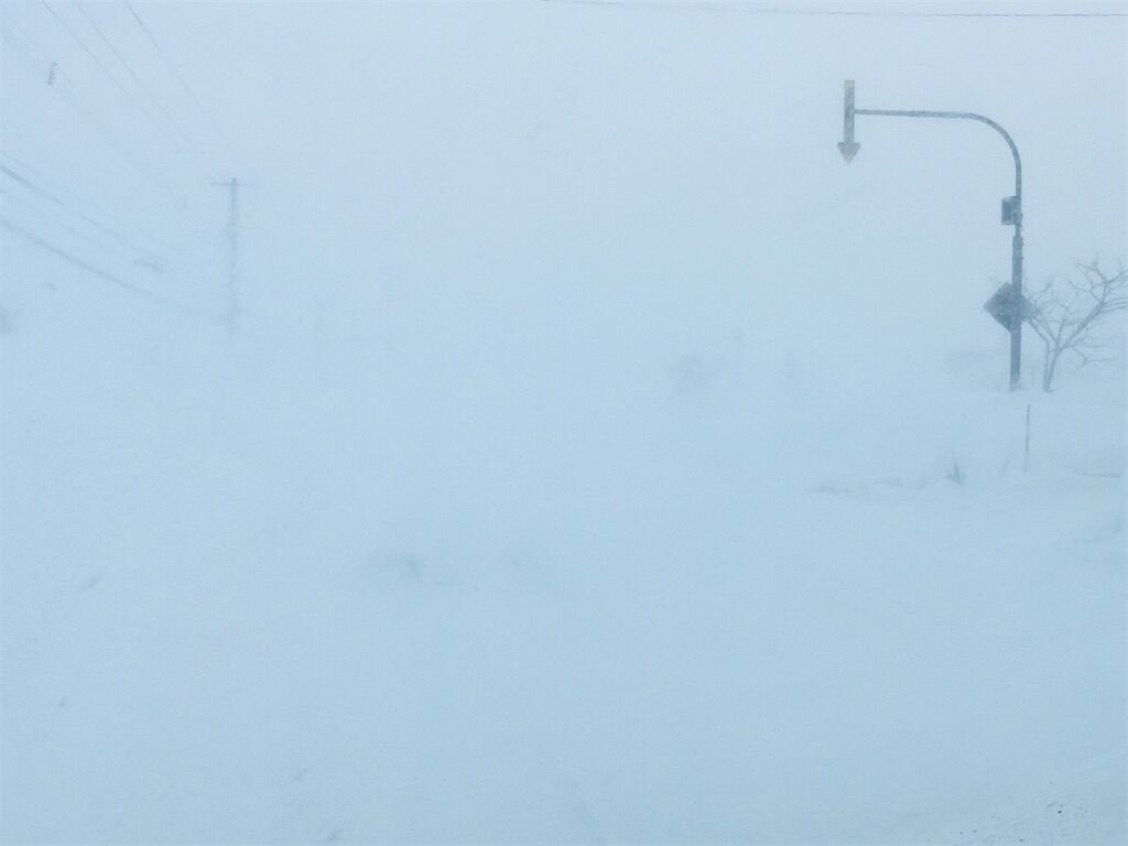 【究極】北海道   ホワイトアウト！…まるで白いキャンパス!!!