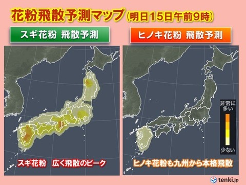 【苦行～】急上昇する気温とスギ花粉のピーク期、対策している？