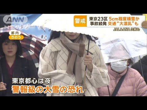 【用心】大雪が東京に接近！空の便60超が欠航に！