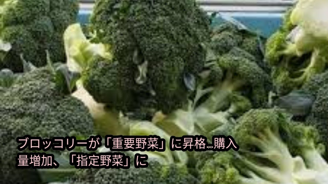 【健康】栄養満点！ブロッコリーが重要野菜に指定!!!