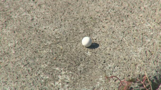 【悲報】北海道の悲劇、BB弾トラブルで起こった凶行ｗｗマジかよ…！？