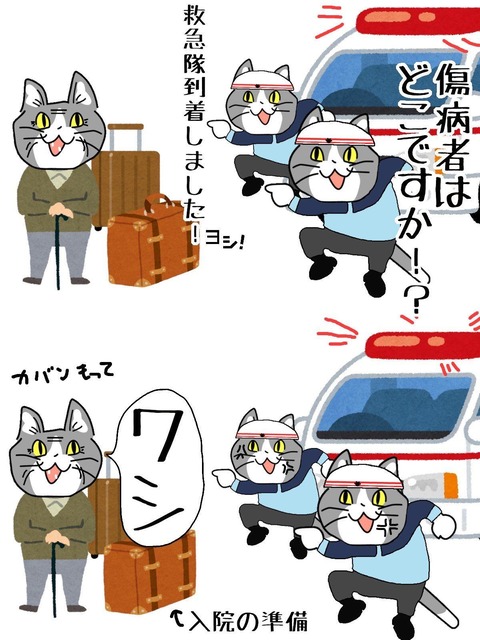 【悲報～】救急車有料化、これからどうなる日本の医療制度？（ニュース動画あり）