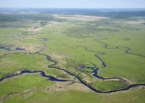 kyodo_1313413366603989367_0